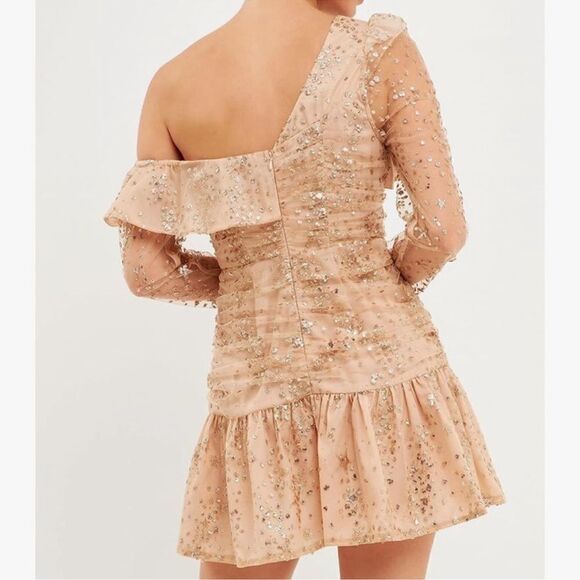 Endless Rose Sequins Mini Gold Nude Mini
Dress(Size XS) - Picture 2 of 9